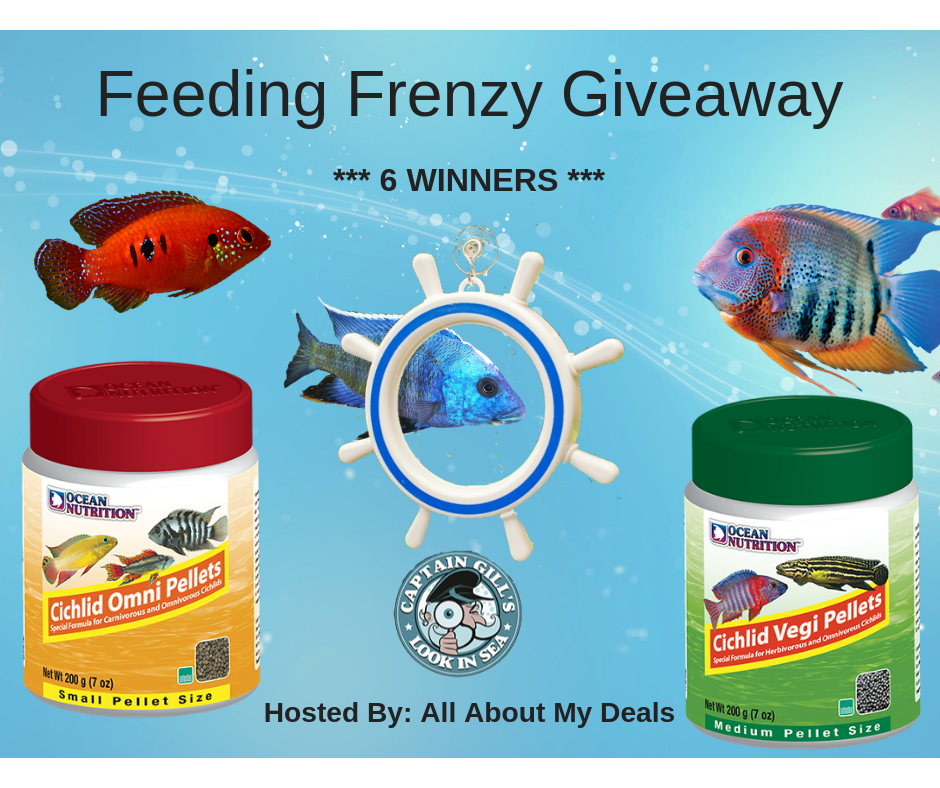 Feeding frenzy quality products