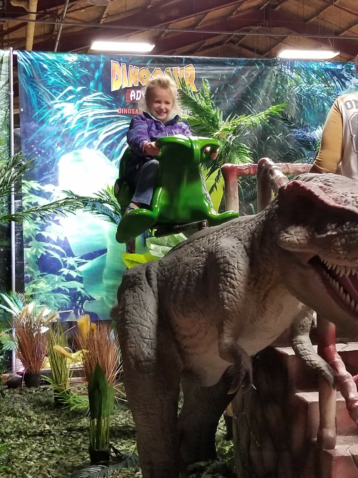 a day with dinosaurs